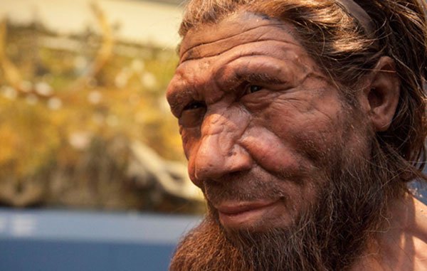 myths-neanderthals.jpg